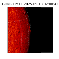 gong - 2025-09-13T02:00:42