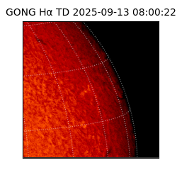 gong - 2025-09-13T08:00:22
