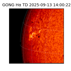 gong - 2025-09-13T14:00:22