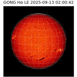 gong - 2025-09-13T02:00:42