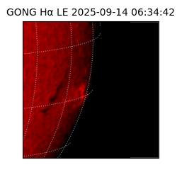 gong - 2025-09-14T06:34:42