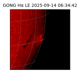 gong - 2025-09-14T06:34:42