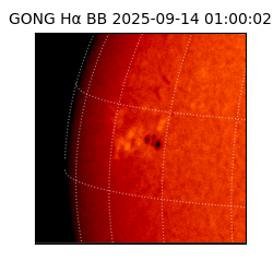 gong - 2025-09-14T01:00:02