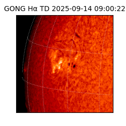 gong - 2025-09-14T09:00:22