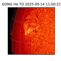 gong - 2025-09-14T11:00:22