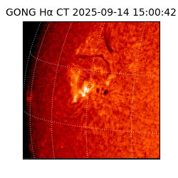 gong - 2025-09-14T15:00:42