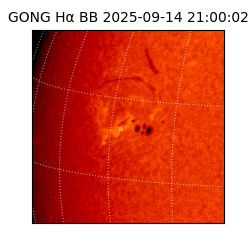 gong - 2025-09-14T21:00:02