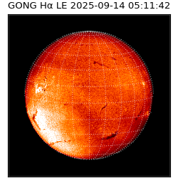 gong - 2025-09-14T05:11:42