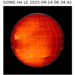 gong - 2025-09-14T06:34:42