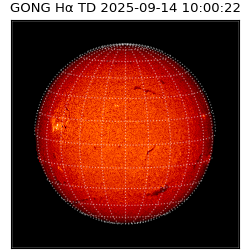 gong - 2025-09-14T10:00:22