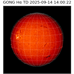 gong - 2025-09-14T14:00:22