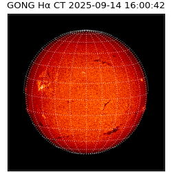 gong - 2025-09-14T16:00:42