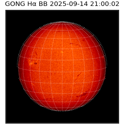 gong - 2025-09-14T21:00:02