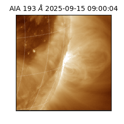 saia - 2025-09-15T09:00:04.843000