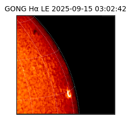 gong - 2025-09-15T03:02:42