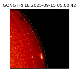 gong - 2025-09-15T05:00:42