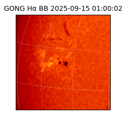 gong - 2025-09-15T01:00:02