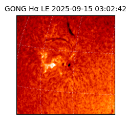 gong - 2025-09-15T03:02:42