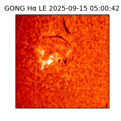 gong - 2025-09-15T05:00:42