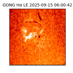 gong - 2025-09-15T06:00:42