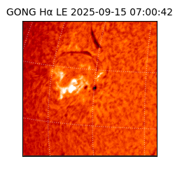 gong - 2025-09-15T07:00:42