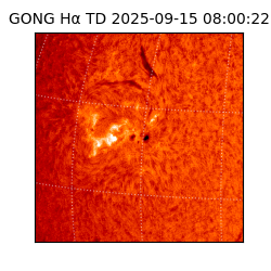 gong - 2025-09-15T08:00:22