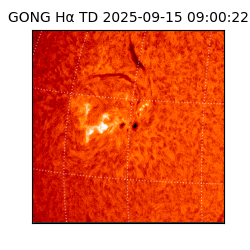 gong - 2025-09-15T09:00:22