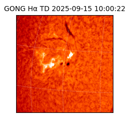 gong - 2025-09-15T10:00:22