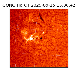 gong - 2025-09-15T15:00:42