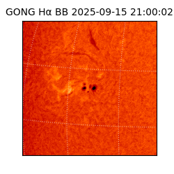 gong - 2025-09-15T21:00:02