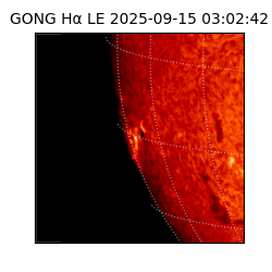 gong - 2025-09-15T03:02:42