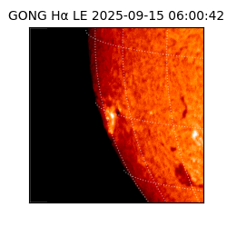 gong - 2025-09-15T06:00:42