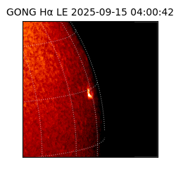 gong - 2025-09-15T04:00:42