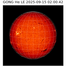 gong - 2025-09-15T02:00:42
