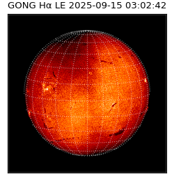 gong - 2025-09-15T03:02:42