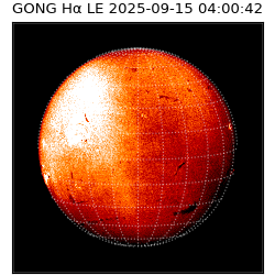 gong - 2025-09-15T04:00:42