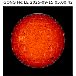 gong - 2025-09-15T05:00:42