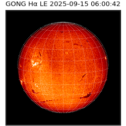 gong - 2025-09-15T06:00:42