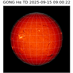 gong - 2025-09-15T09:00:22