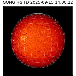gong - 2025-09-15T14:00:22