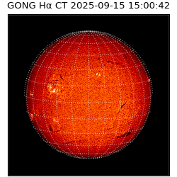 gong - 2025-09-15T15:00:42
