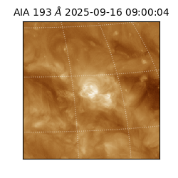 saia - 2025-09-16T09:00:04.843000