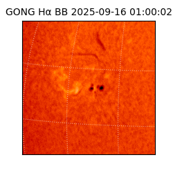 gong - 2025-09-16T01:00:02