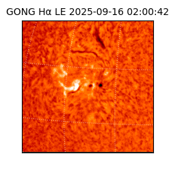 gong - 2025-09-16T02:00:42