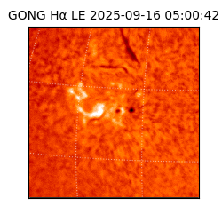 gong - 2025-09-16T05:00:42