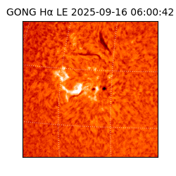 gong - 2025-09-16T06:00:42