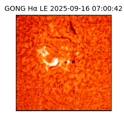 gong - 2025-09-16T07:00:42