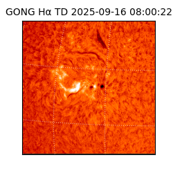 gong - 2025-09-16T08:00:22