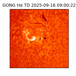 gong - 2025-09-16T09:00:22