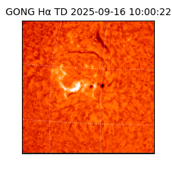 gong - 2025-09-16T10:00:22